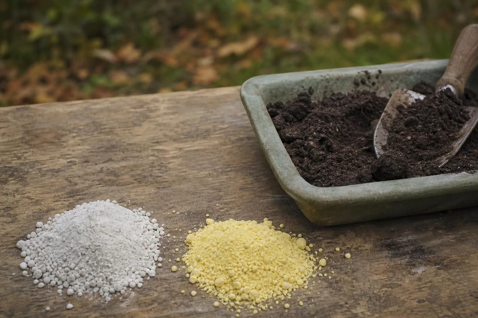 A close-up of pale calcitic lime and yellow elemental sulfur measured in separate piles beside a soil test sample. Lime and sulfur both take a season or more